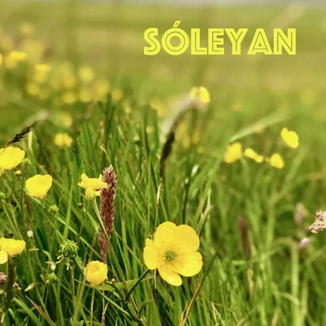 Sóleyan