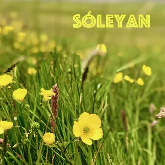 Sóleyan by Tórshavnar Manskór