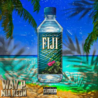 Fiji by Way P