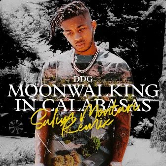 Moonwalking in Calabasas (Salim Montari Remix) by Salim Montari