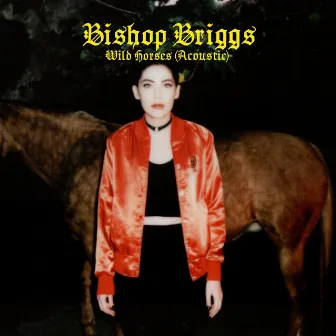 Wild Horses (Acoustic) by Bishop Briggs