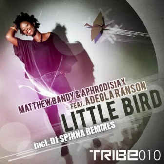 Little Bird (feat. Adeola Ranson) by Aphrodisiax