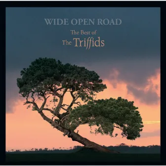 Wide Open Road: The Best of the Triffids by The Triffids