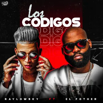 Los Codigos by Raylowsky