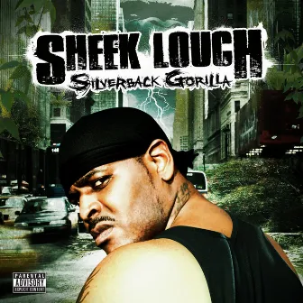 Silverback Gorilla by Sheek Louch