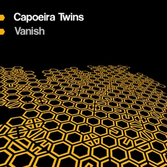 Vanish by Capoeira Twins