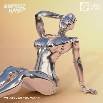 Whatever You Want by Softest Hard