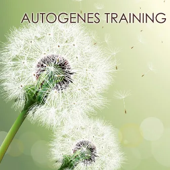 Autogenes Training Musik by Unknown Artist