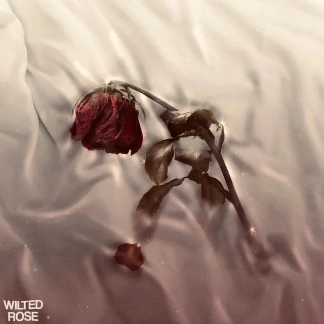 wilted rose