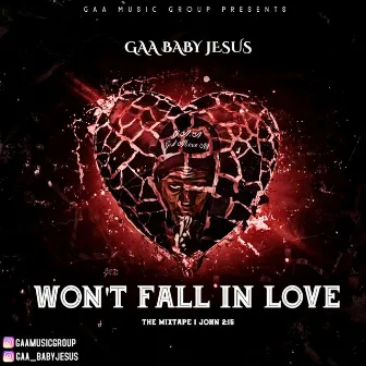 Won't Fall In Love (The Mixtape) by Zarach