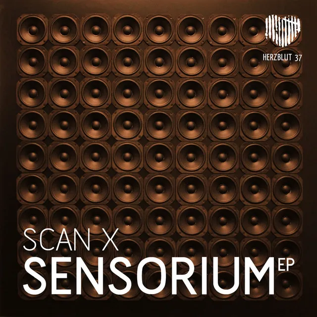 Sensorium