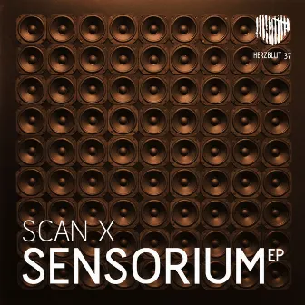 Sensorium by Scan X