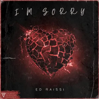 I'm Sorry by Ed Raissi