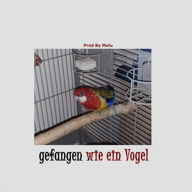 Gefangen wie ein Vogel