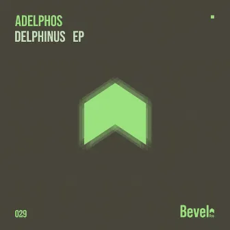 Delphinus by Adelphos