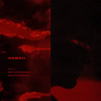 HAWAII by Pil C