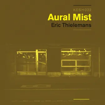 Aural Mist by Eric Thielemans