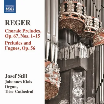 Reger: Organ Works, Vol. 14 by Josef Still