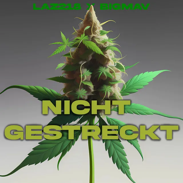 Nicht Gestreckt