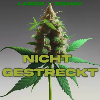 Nicht Gestreckt by Laz218