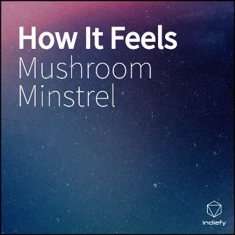 How It Feels by Mushroom Minstrel