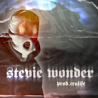 STEVIE WONDER by OUTSIDER404