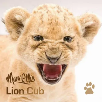 Lion Cub by Marv Ellis