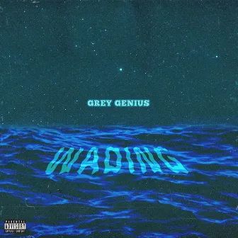 Wading by Grey Genius