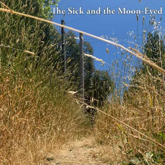 The Sick and the Moon-Eyed by Max Lewis