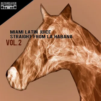 Straight from La Habana, Vol. 2 by Miami Latin Juice