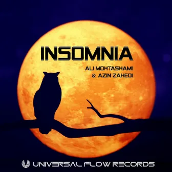 Insomnia by Azin Zahedi