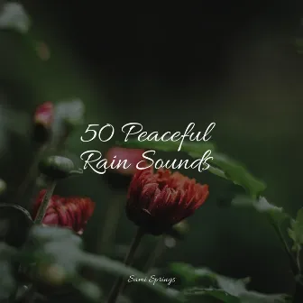 50 Peaceful Rain Sounds by Massage Therapy Music