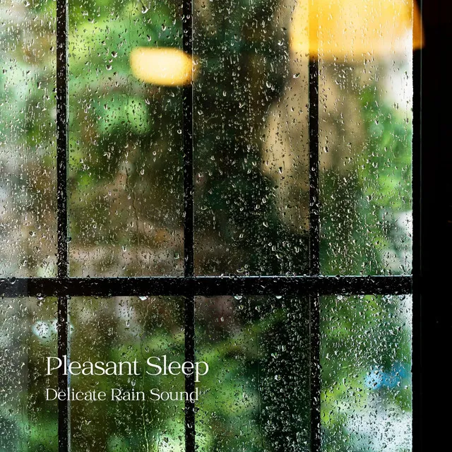 Pleasant Sleep: Delicate Rain Sound