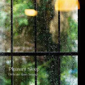 Pleasant Sleep: Delicate Rain Sound by Forest Noir