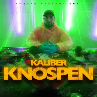 Knospen by Kaliber