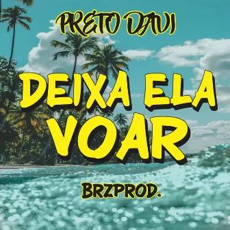 Deixa Ela Voar by Preto Davi