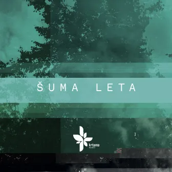 Leta by Shuma