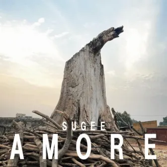 AMORE by SUGEE