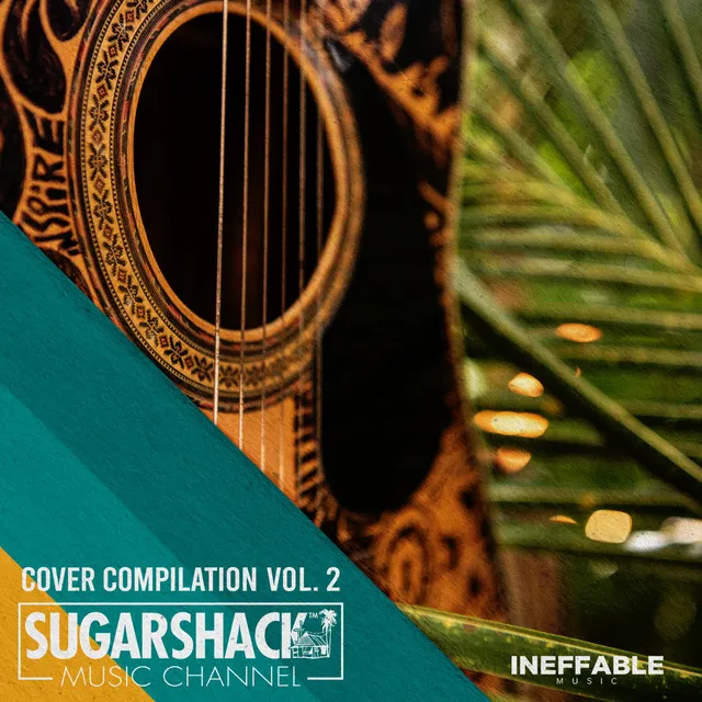 Just When I Needed You Most - Live at Sugarshack Sessions