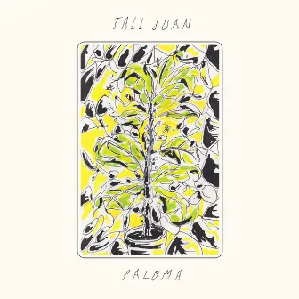 Paloma by Tall Juan