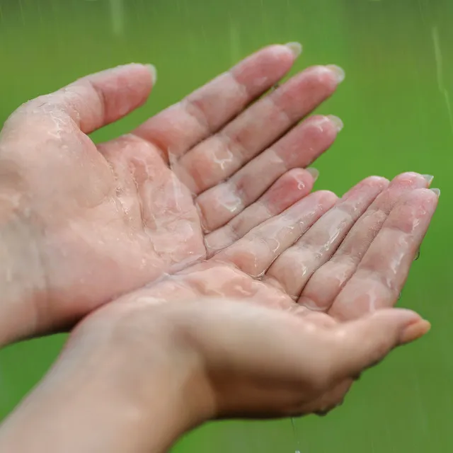 Reflective Healing in Piano Rain