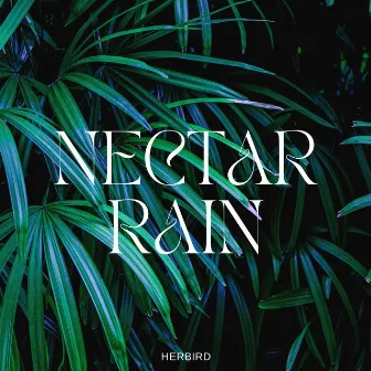 Nectar Rain by Herbird