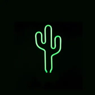 Cactus by Sansiniestro