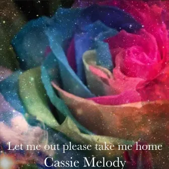 Let Me out Please Take Me Home by Cassie Melody