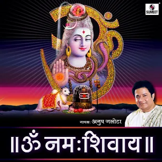 Om Namah Shivay by Chandrashekar Gadgil