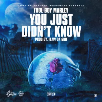 You Just Didn't Know (YJDK) by Fool Boy Marley