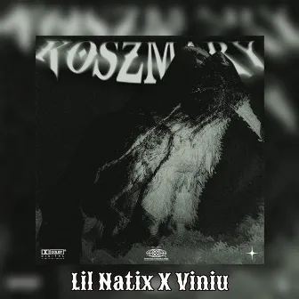 Koszmary by Lil Natix