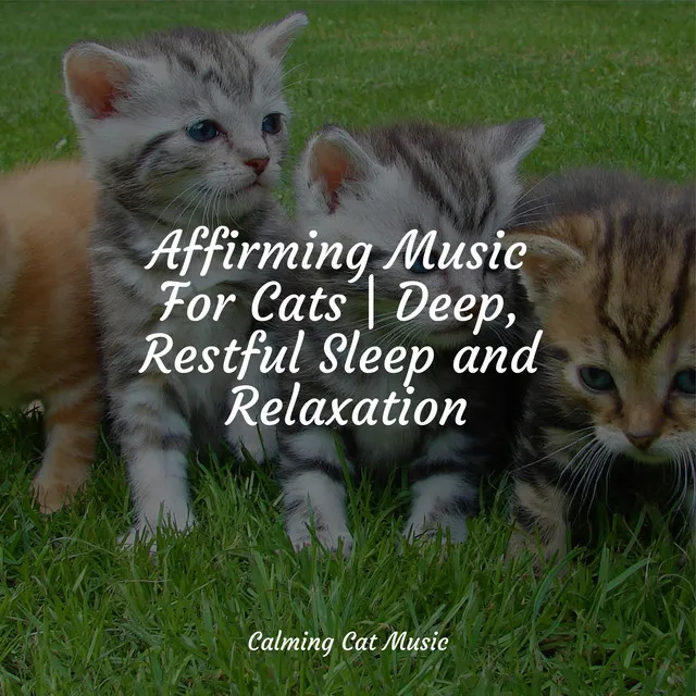 Affirming Music For Cats | Deep, Restful Sleep and Relaxation