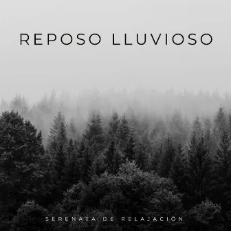 Reposo Lluvioso: Serenata De Relajación by Buey almizclero relajante