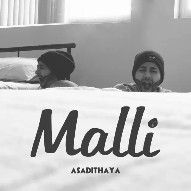 Malli